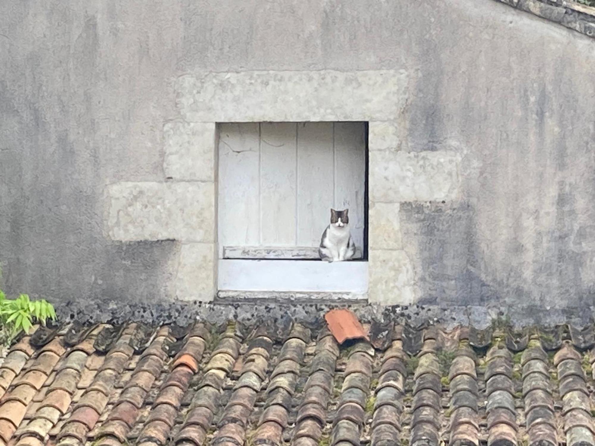 Mazette! Le Chateau Niort Exterior photo